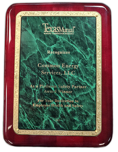 2025 Platinum Safety Partner Award